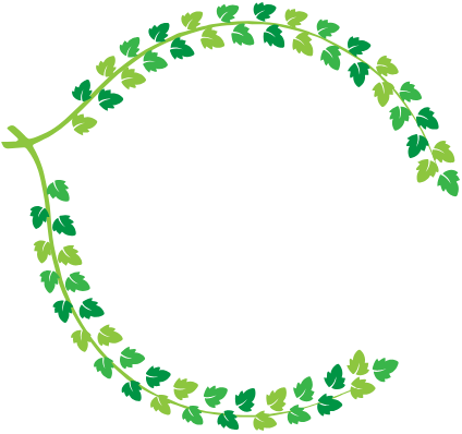 Daniel Blazej - TODOCERVEZA